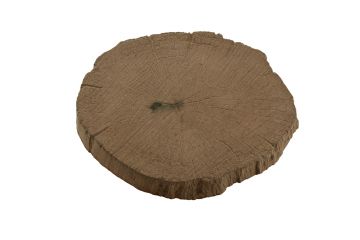 Timber Stepping Stone