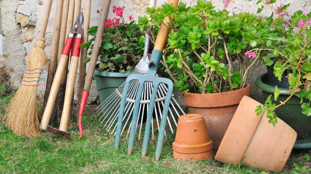A look at the essential gardening tools and equipment