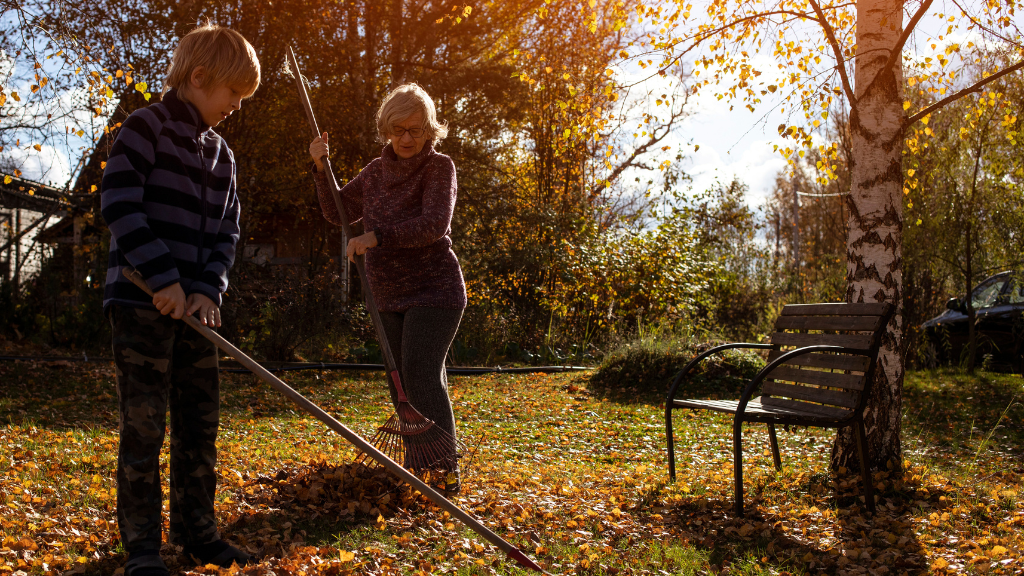 Gardening jobs checklist – October