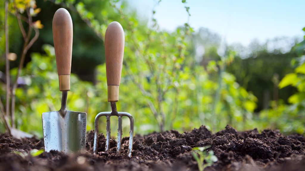 Hilltop Garden Centre’s New Year Gardening Tips