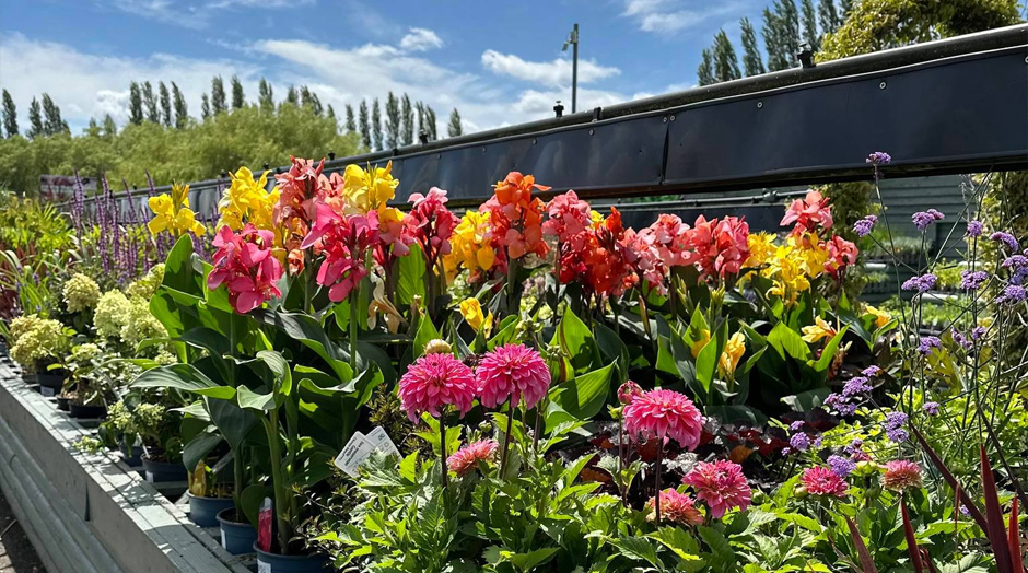 About our garden centre