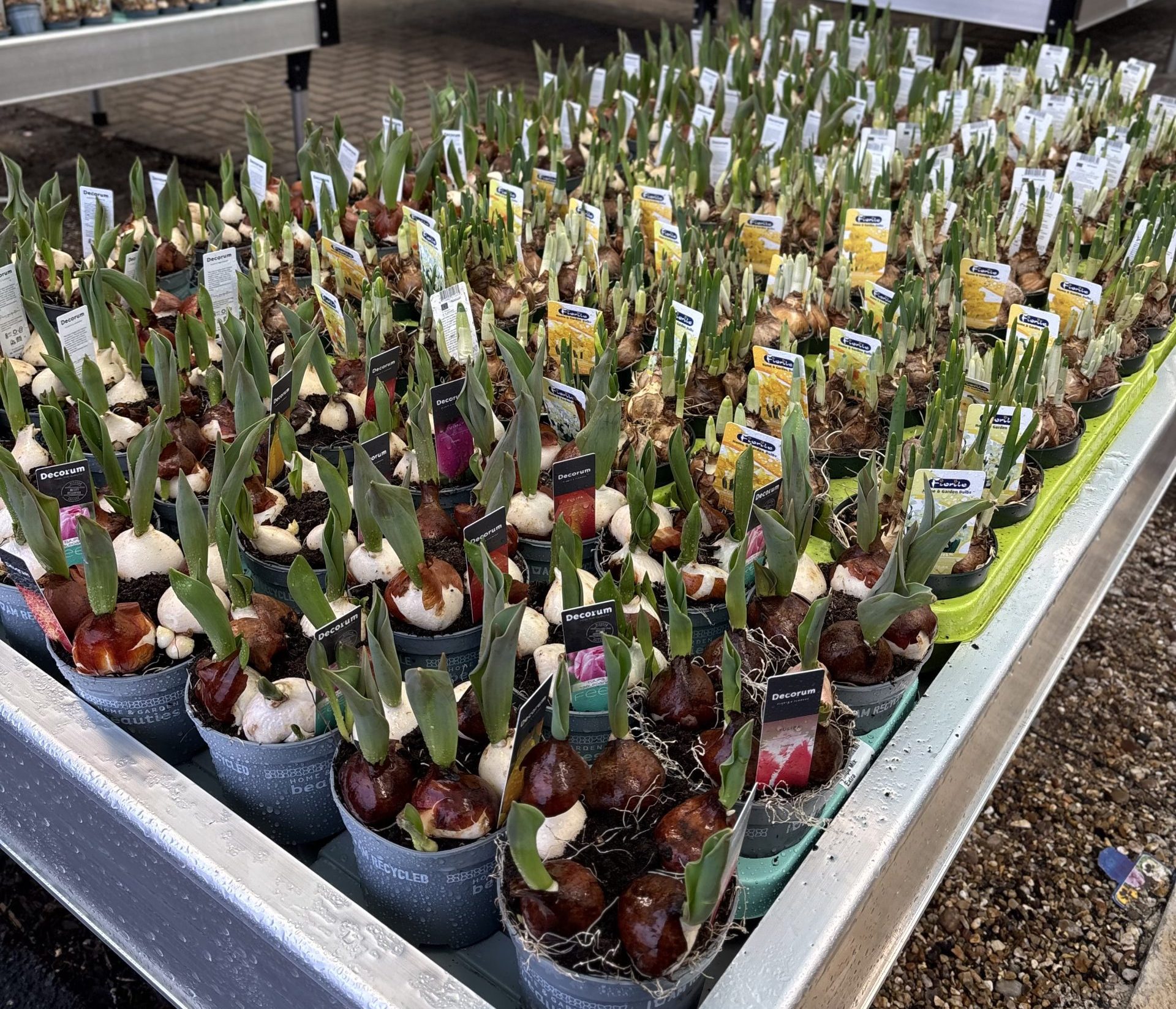 Getting Ready for Spring at Hilltop Garden Centre!